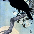 Crow on Cherry Branch 30x44 Japanese Print by Koson Asian art Japan