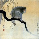 Monkey on Branch 15x22 Japanese Art Print by Koson Asian Art Japan