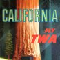 Vintage David Klein TWA Poster California Redwoods Mid Century Modern