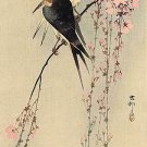 Two Birds on Branch 15x22  Japanese Print by Koson Japan Asian Art Japan