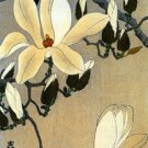 Myna on Magnolia Branch 22x30 Japanese Hand Numbered Koson Asian Art Japan