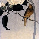 Songbird on Camellia 22x30 Ltd. Edition Japanese Print Koson Asian Art Japan