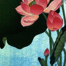 Flowering Lotus 22x30 Japanese Art Print by Koson Asian art Japan