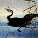 Cormorant With Fish 22x30 Ltd. Edition Japanese Print by Koson Asian art Japan