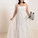 Alfred D'Angelo AWD 0119