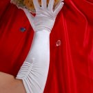 Gloves SG 068