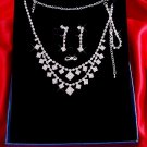 Necklace with matching earings X 035
