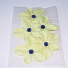 Daisy 5 – Petite Limes - Light Green