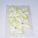 Daisy 5 – Petite Limes - Lime