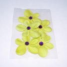 Daisy 5 – Petite Limes - Green