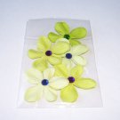 Daisy 5 – Petite Limes - Assorted No. 1