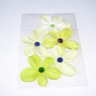 Daisy 5 – Petite Limes - Assorted No. 2