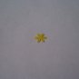 Daisy 6 &acirc;�� Green Plain