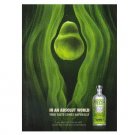 IN AN ABSOLUT WORLD Vodka Magazine Ad TRUE TASTE COMES NATURALLY – PEARS