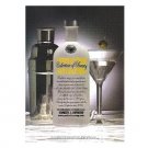 PERFECTION MAGAZINE Absolut Vodka Parody Ad