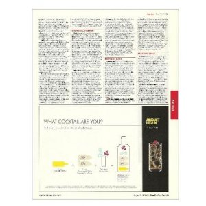 WHAT COCKTAIL ARE YOU? Absolut Vodka Magazine Ad ABSOLUT CITRON DIAMOND