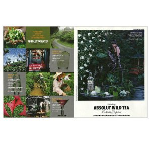 ABSOLUT WILD TEA Vodka Magazine Ad w/ Cocktail Recipes - 2 PAGES