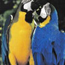 ABSOLUT AMAZONIA Italian Vodka Magazine Ad BEAUTIFUL! RARE! ABSOLUT AMAZONIA Italian Vodka Magazine Ad BEAUTIFUL! RARE!