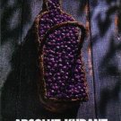 ABSOLUT KURANT Vodka Magazine Ad BASKET OF CURRANTS