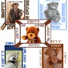 Choose TEDDY BEAR DiShWaSheR Dirty Clean MAGNET