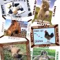 Pick ANIMAL Cow Horse Pig DiShWaSheR Dirty Clean MAGNET