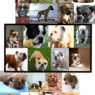 Choose DOG Boxer BuLLdog CoCKeR sPaniel MAGNET