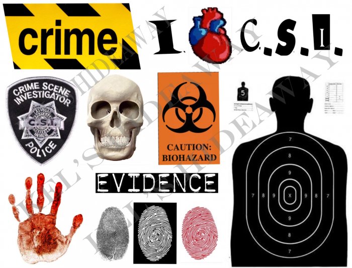 Set of 11 CSI Crime Lab Police Evidence STICKERS Labels