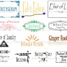13 Wizard Theme Party POTION Labels Stickers