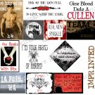 Set 13 TwiLiGHt Saga Edward Funny LaBeL Decal STICKERS