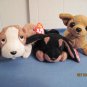 Beanie Babies, Tiny, Tracker, Duby