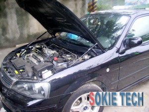 Black Gas Hood Damper fit for 2000-2006 Mazda Prot&Atilde;&copy;g&Atilde;&copy; D2G1