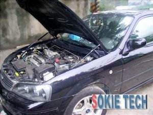 Black Strut Hood Shock Damper Kit for 2003-2009 Citroen Citro&Atilde;&laquo;n C2 Hatchback D2M4