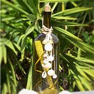 Reading In A Bottle