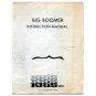 Original 1980's Kris Inc. Big Boomer Amplifier Instruction Manual & Schematic (Circa 1980’s)