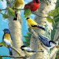 Buffalo Games - Hautman Brothers - Songbird Favorites - 1000 Piece Jigsaw Puzzle