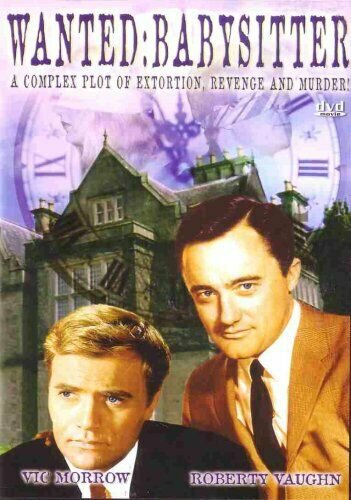 Wanted: Babysitter (DVD)