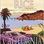 California Girl (A Novel)  (Hardcover)