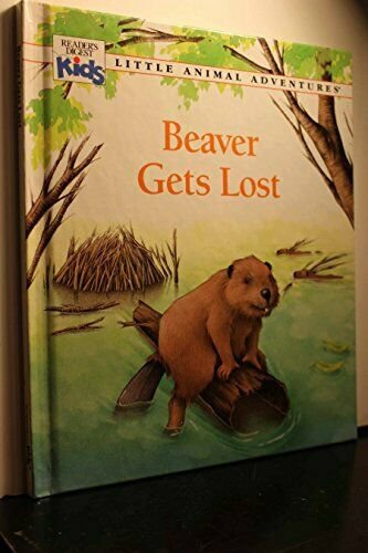 Beaver Gets Lost