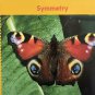 Symmetry (Paperback)