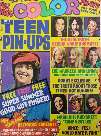 Teen Pin-Ups Jackson Five, Donny Osmond, David Cassidy February 1973 (Collectib
