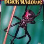Mysterious Black Widows (Thats Wild!) (Paperback)