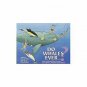 Do Whales Ever...? (Paperback)