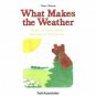 What Makes The Weather (Paperback)