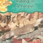 Hiding in a Forest (Animal Camouflage) (Paperback)