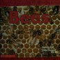 Bees (Time-to-Discover) (Paperback)