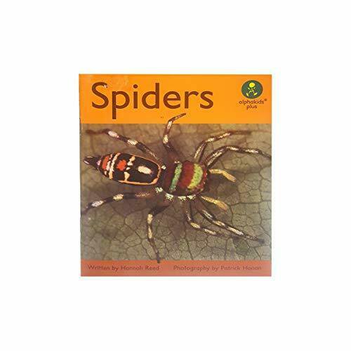Spiders (Alphakids Plus) (Paperback)
