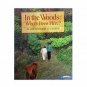 In the Woods: Whos Been Here? (Paperback)