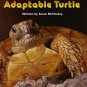 LITTLE CELEBRATIONS, NON-FICTION, THE REMARKABLE, ADAPTABLE TURTLE, SINGLE COPY,