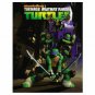 Teenage Mutant Ninja Turtles: Rise of the Turtles (DVD)