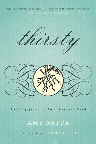 Thirsty: Meeting Jesus at Your Deepest Need (Paperback)